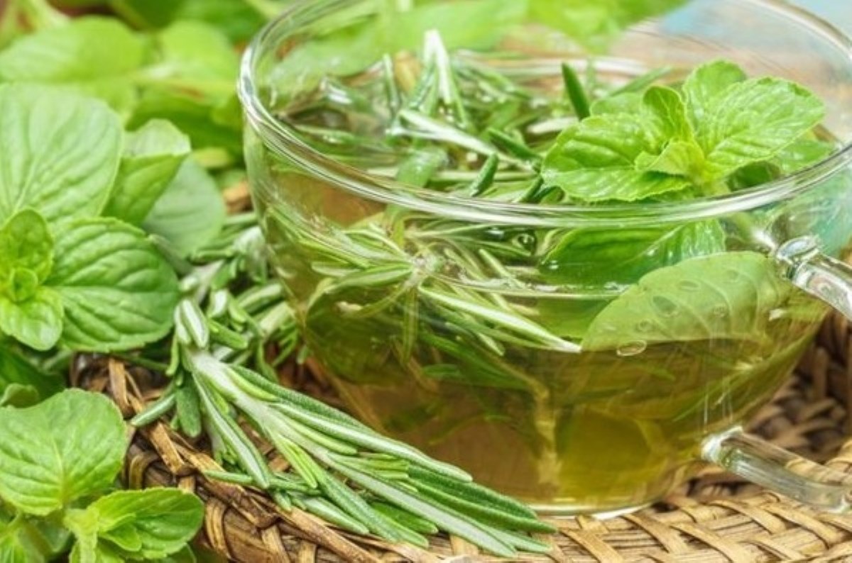 چربی سوزی قوی با گیاه ورزنجوش موجود در کپسول باریج